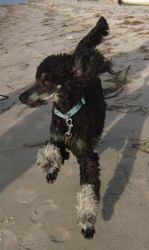 Lubmin13.09 145